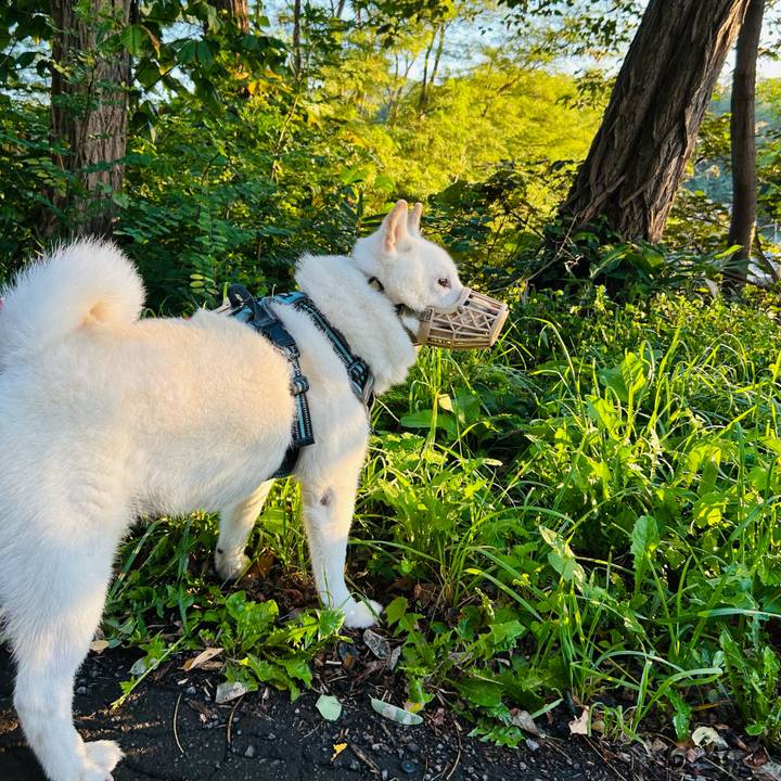 594ec908 e7c7 4e09 b141 c82c2e865e10 1757279214451