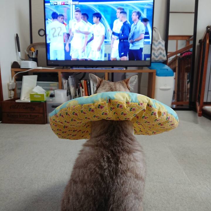 594eefeb 4639 4cdd 86c5 338567e65886 1564190755385