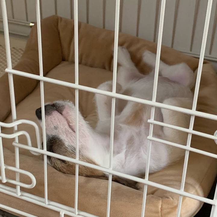 594eff67 d543 46e5 96b9 8c79b482a962 1558942218374