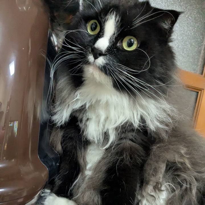 594f1814 757a 439f 9fd7 bcf7a9101e1b 1770894612877