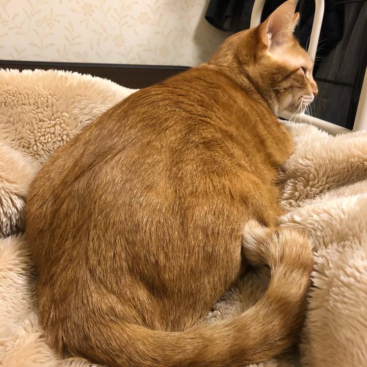 594f1f53 06f9 4cbb 93c4 d632caec0444 1574416288894