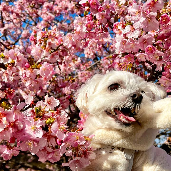 594f44a5 8c3f 4779 a0ea 72d820104f1a 1677143211279