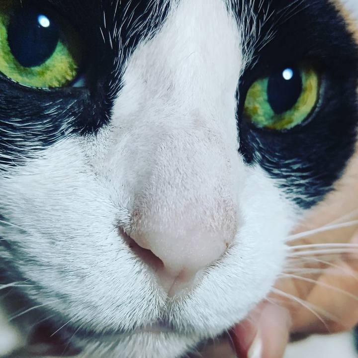 594f4d64 f7a4 484c 9537 0cae39569aa7 1619093430656