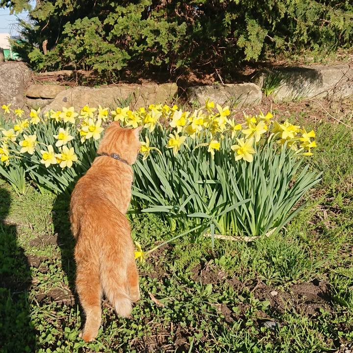 594f5a4d 6da9 4e79 a9da 80bc447d8b0f 1650181298407