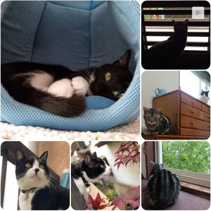 594f60d1 07be 444c 8eeb 2ac5b7dde301 1556103488751