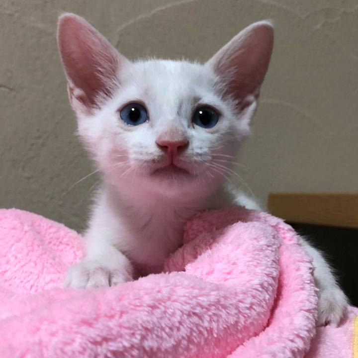 594f6665 8dbc 4159 ba91 058c35edb001 1532614672877