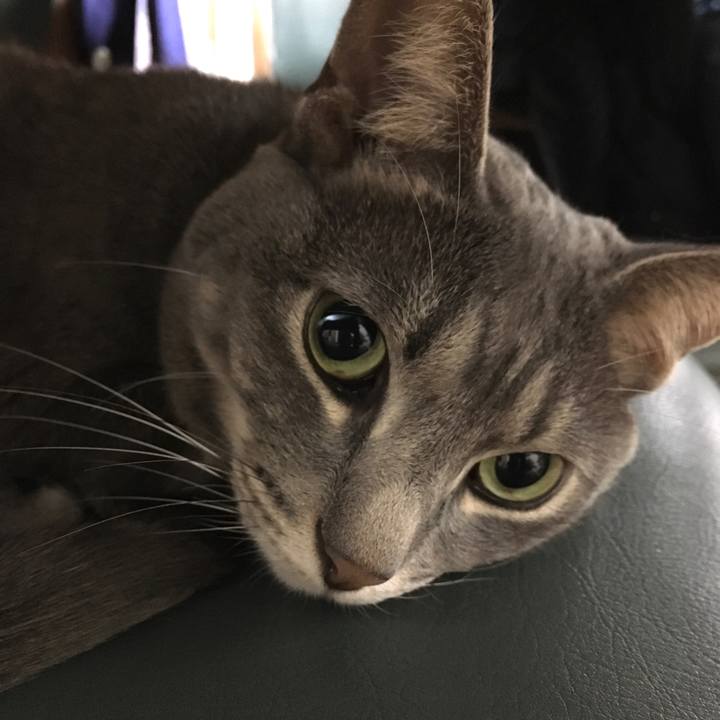 594f6ac1 8a25 4128 80e4 699483c951f7 1575681290061