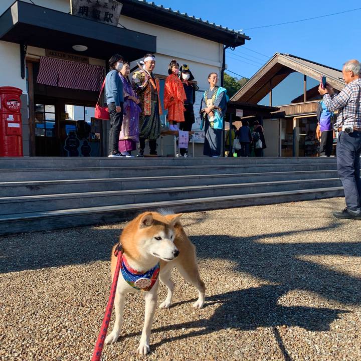 594fe66d bd09 4567 98b1 c5fbe370725b 1636887240270