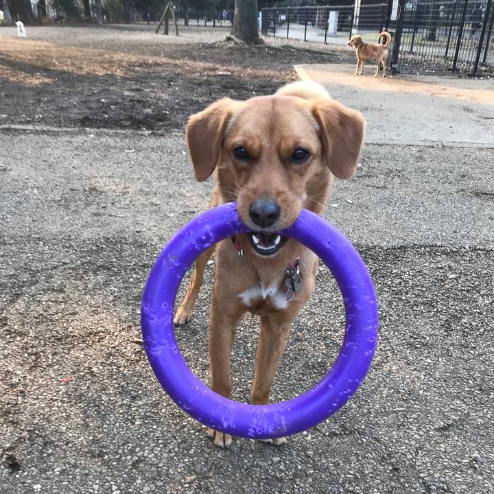 594ffb9e 8a7e 441b 939a 33c10429f114 1516431059755