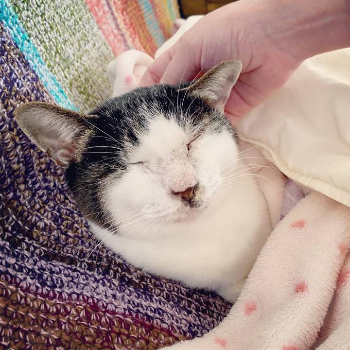 5950345b 6906 4a3b abb1 24b3bafcd896 1605659713617