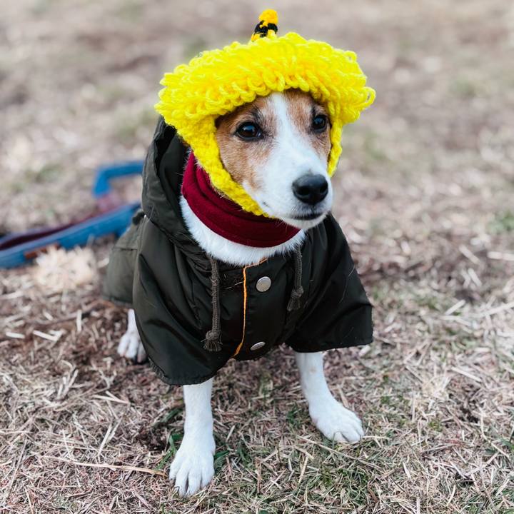 59503f44 c7b5 4aa8 b00c b310107b58ad 1738497071419