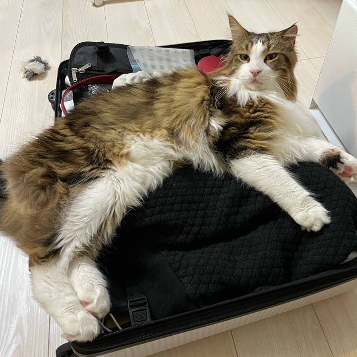 595085bf 5b93 4fdc bf61 94a3cf58c6eb 1672351156709