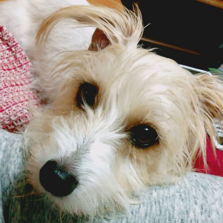 59508c5b 156d 4d8e b8c4 d3d94c0857f5 1518269431556