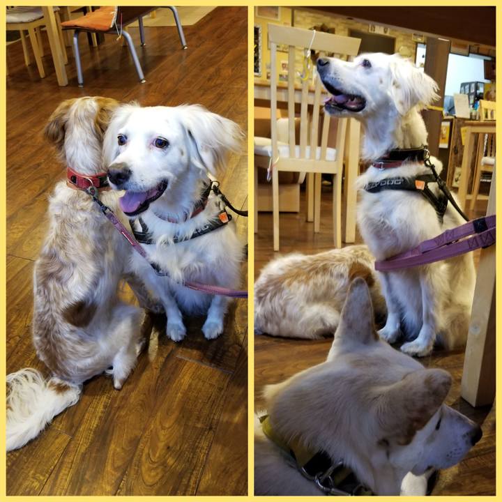 5950972b 6403 4c71 992b 0d15d32b2a64 1599998540310