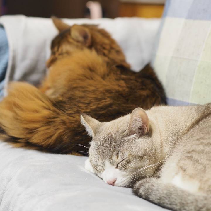 5950ea64 f222 493b bf20 ec1019004f23 1707882923725