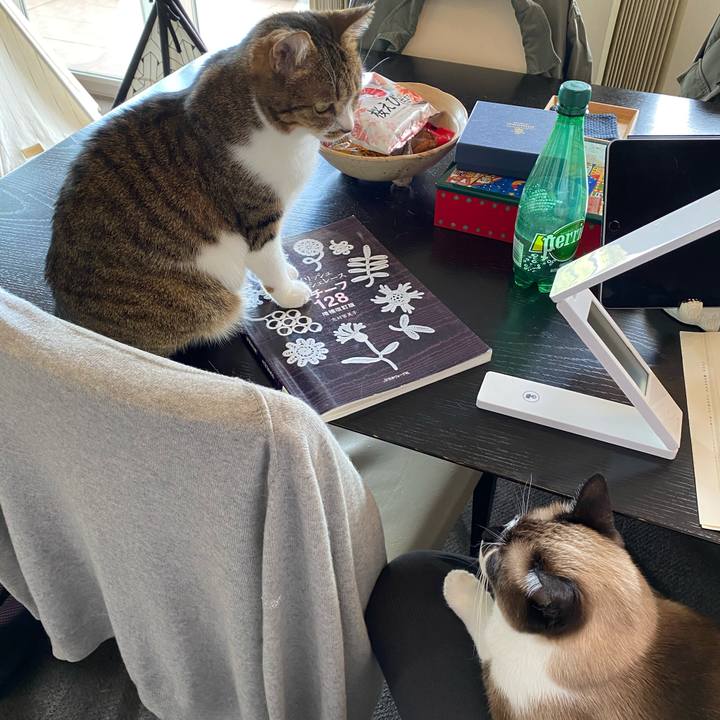 595124d1 2481 4291 a38e be3de08ac9cb 1617781592579