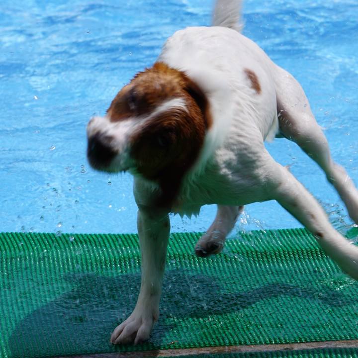 59513d27 4d94 45c3 8edc 5ad9ab31ccfa 1525669338802