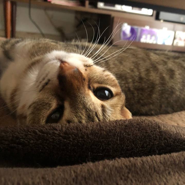 59517c2c c776 49dd 9748 8127359c3175 1628849094889