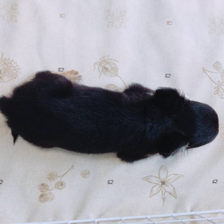 595194cb 0141 4bbf 950b 83e34056b8c6 1535582473860