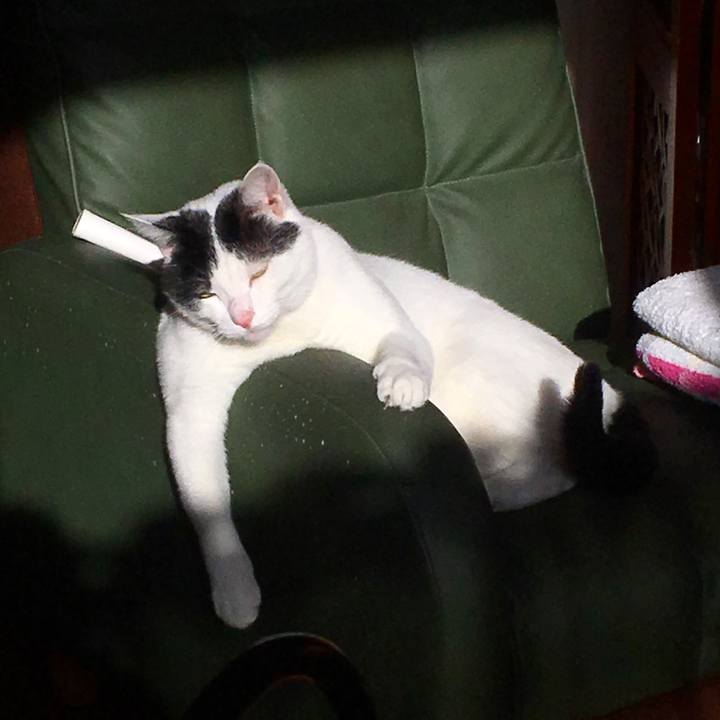 5951e4d2 69ec 4b65 a894 4df3abe0d36f 1518741031454