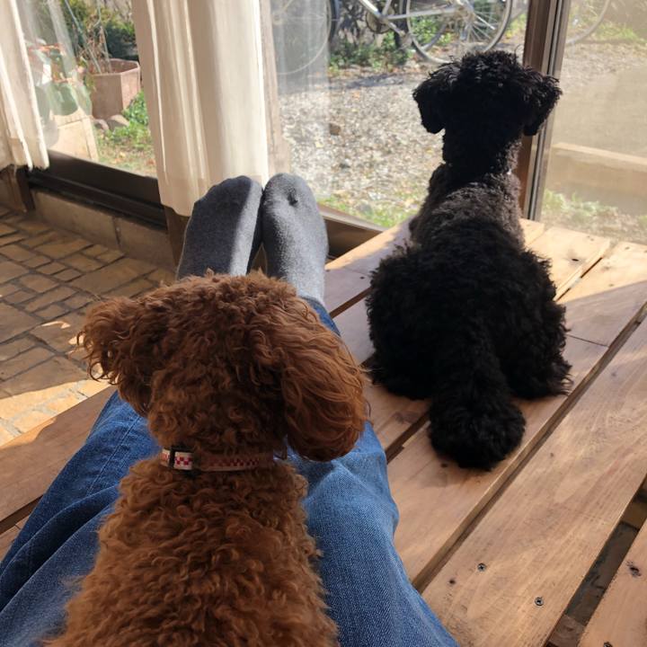 5951fdbe 39c3 48ef ac5e d83ee7862c78 1511659501104