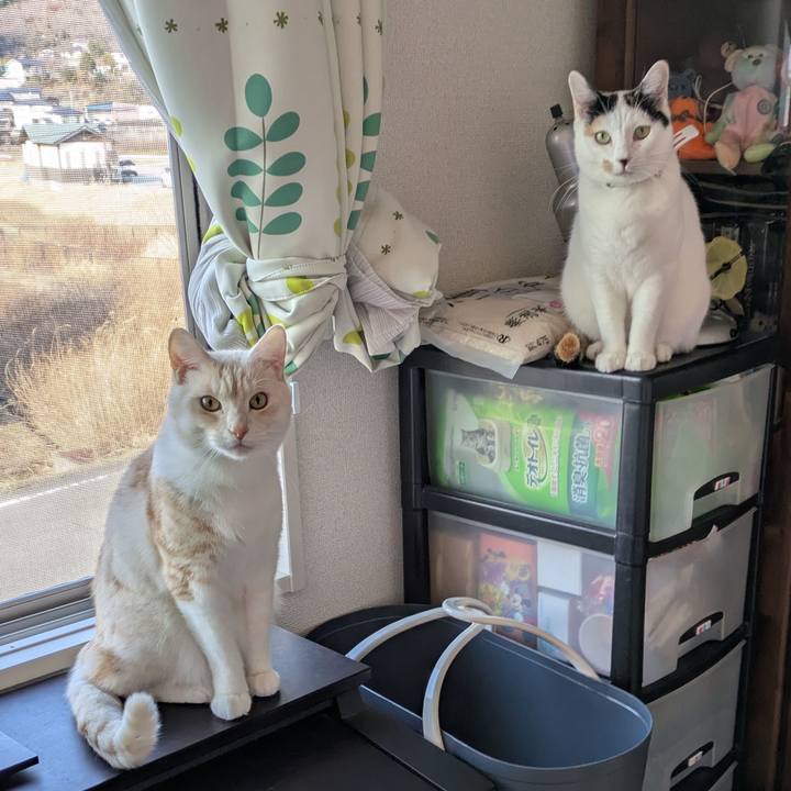 59520e36 8f3e 48d2 b38c 5e28a08d0b21 1740896788260