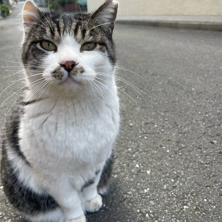 59521682 57b3 4635 a215 20940201cb85 1674897839540