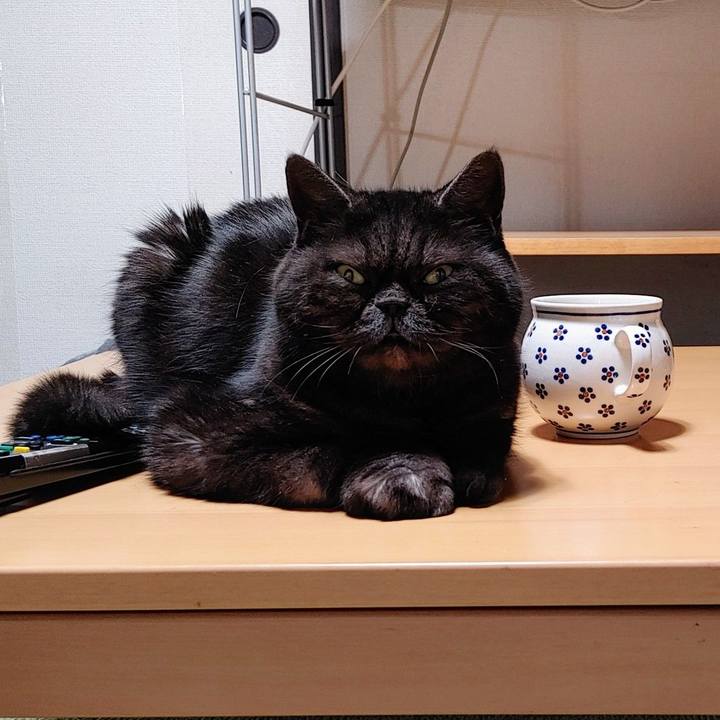 595217f6 1de0 47b5 9eff 9ade5376a1e1 1645332374310