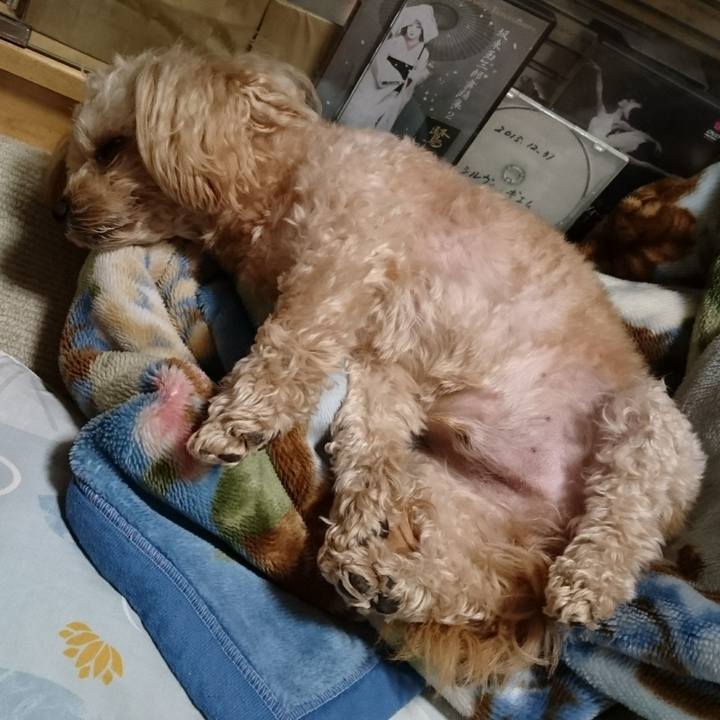 595219c9 db92 4073 bfee f5a30e5f7914 1526828258829