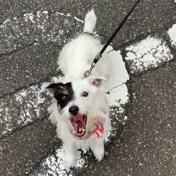 59521dd5 9a56 4418 989c 29affefc5bc8 1659050303288