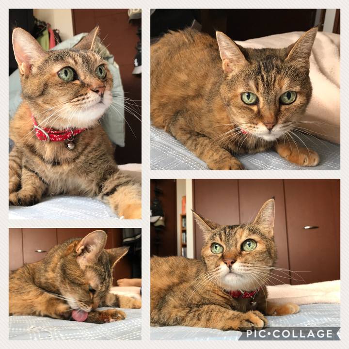 59523926 178a 4e1b bcbf 14c166512fde 1535867616736