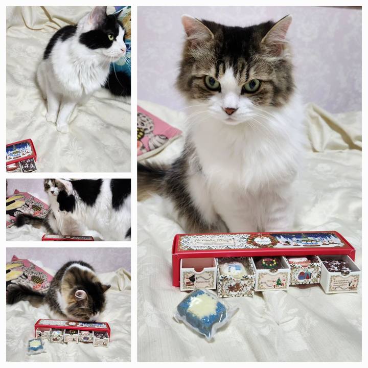 595244d3 4f86 4f3f bd9c 28495c3e0a1b 1701778600227