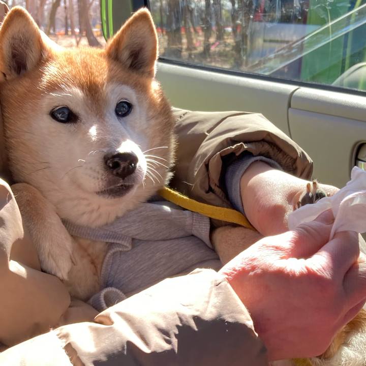 59527524 eb5a 40b0 98c4 308bbd9ec4c3 1773465108161