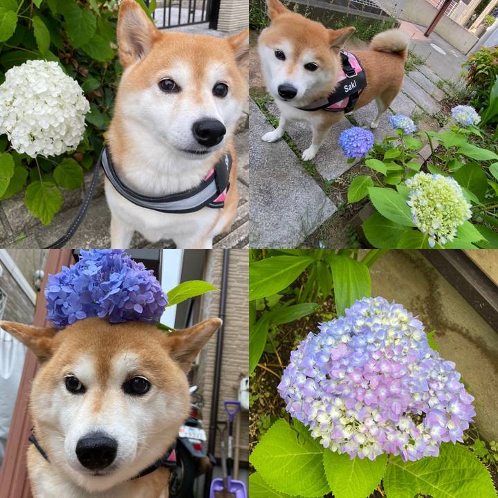 5952b562 cdda 477a 912a c58e212dc173 1655728706518