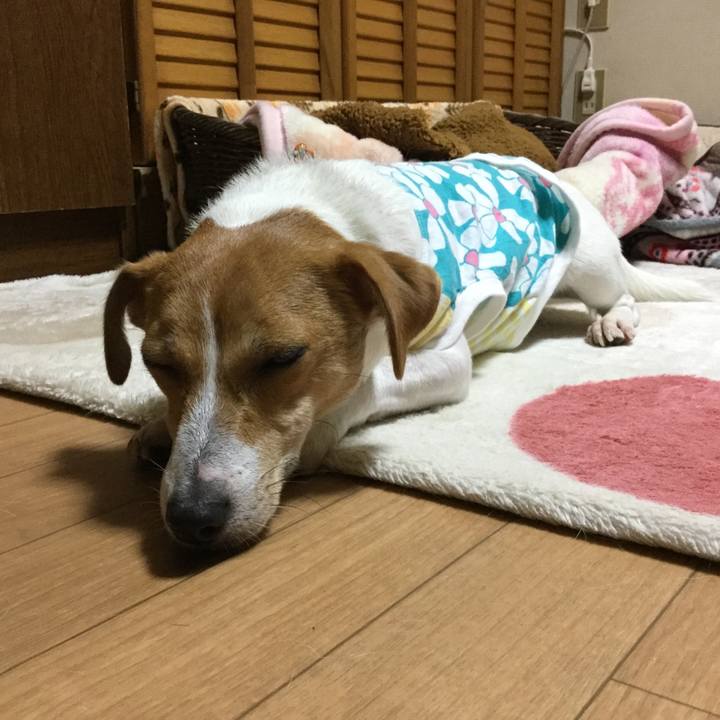 5952c042 28f9 409d af30 472596489e2f 1510310960241