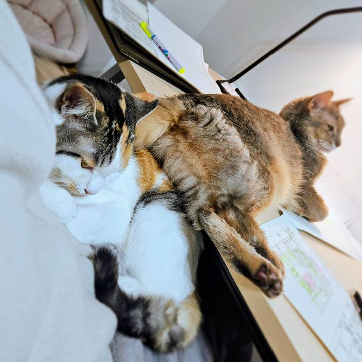 5952cd67 8024 4271 9183 1b48318ae3e5 1769944968406