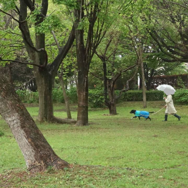 5952f571 0a0c 4cad a568 d86f5e40189d 1681517865973