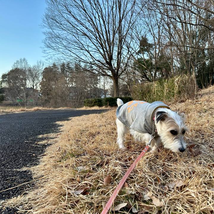 59532a84 e64e 4dc8 9190 0e36c70a9e5a 1707079488455