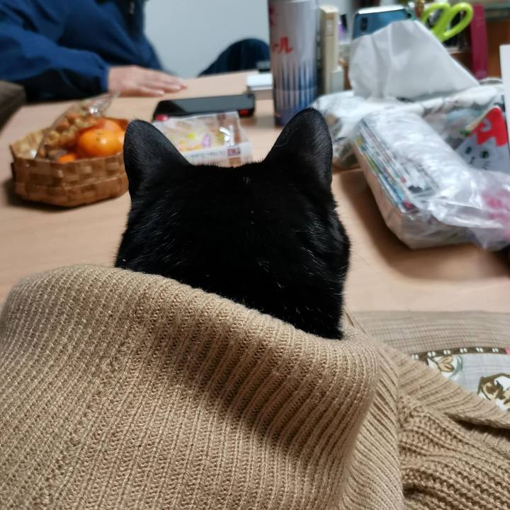 59532fbc a593 4580 83f7 5dfb607d7d59 1704426665600