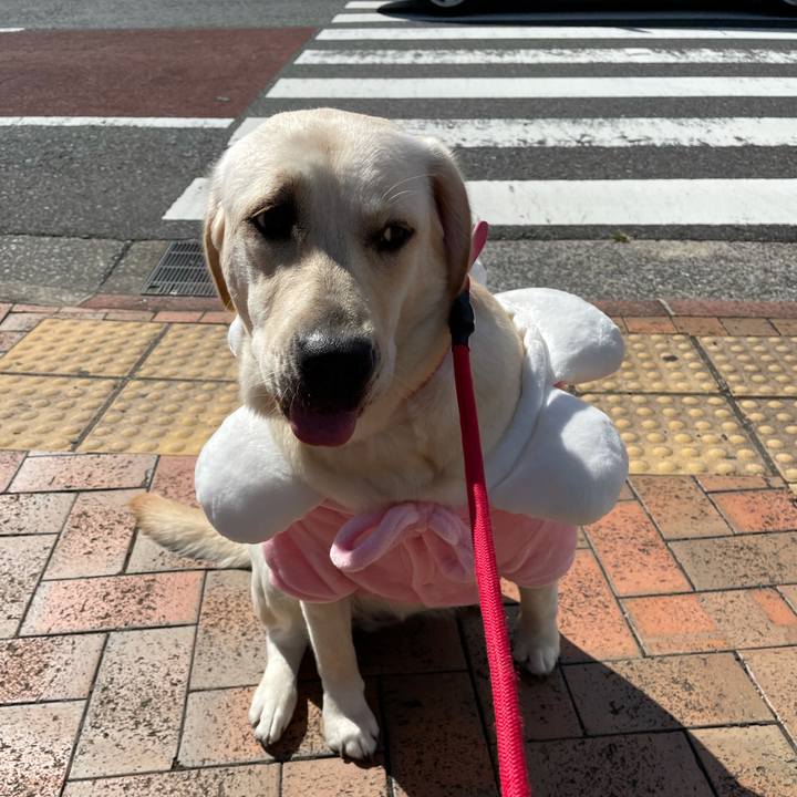 595341e3 c42b 41da 9db9 3da074c95b90 1634603122110