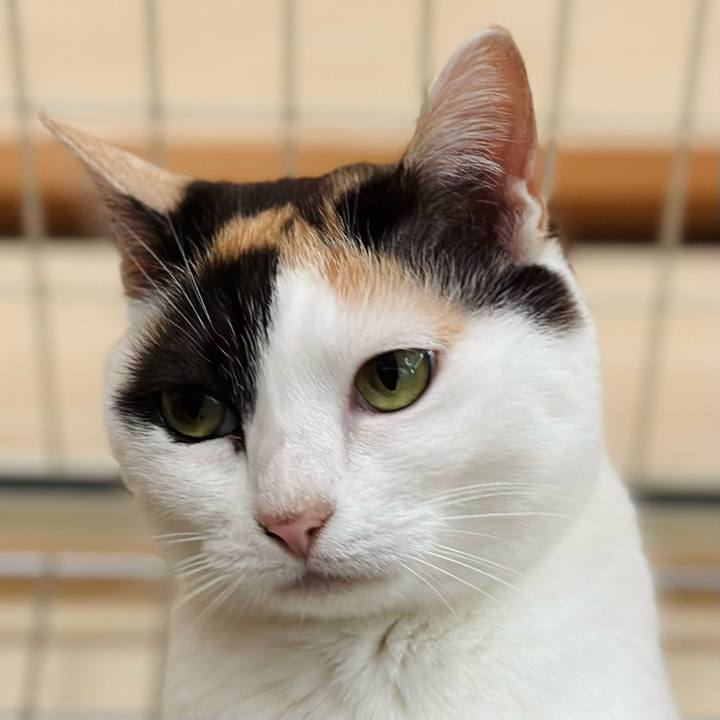 59535f4e fe00 4b9a 8f55 d0f9bde799fb 1687224255677