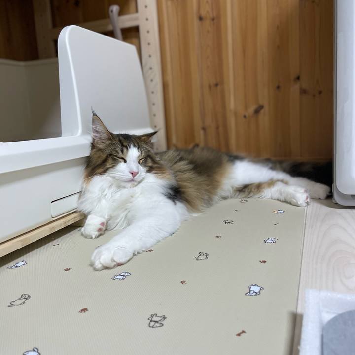 59537c5c 70e2 4861 b1da edca0ff37c80 1640780474046