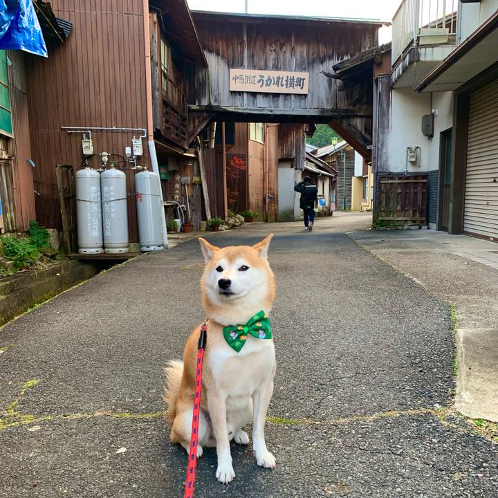 5953bfec fab9 4e31 a78c f334c6760878 1671183021683