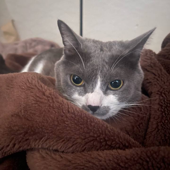 5953deca 9d58 4d5a a4d3 91ebf35971c7 1666048224987