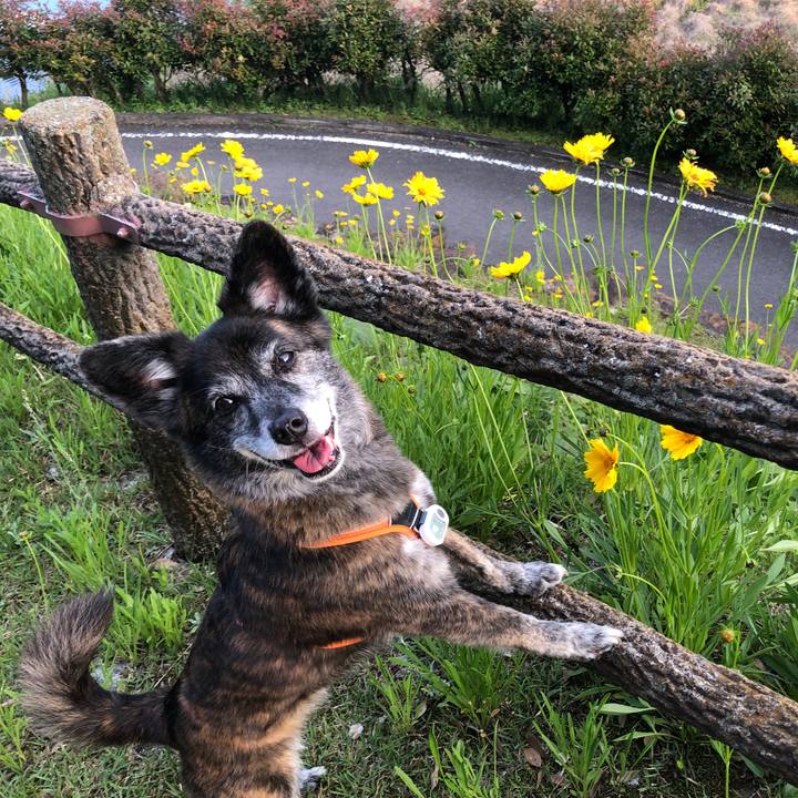 5953f625 9949 4f39 9f48 a96573f274c1 1683716652836