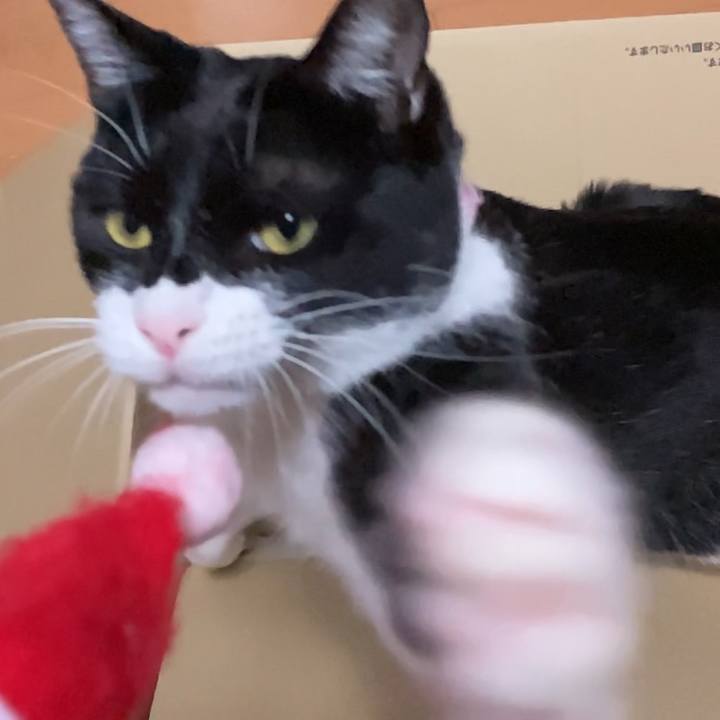 59542061 e575 40db a613 867105f87e84 1608630949620