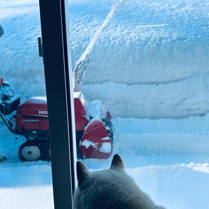 59542552 70ef 49ef ac39 672b0bddfe88 1710028553786