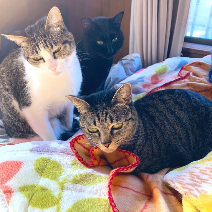 59543821 9e2b 44b0 ae63 d6c7582287f2 1549358579960