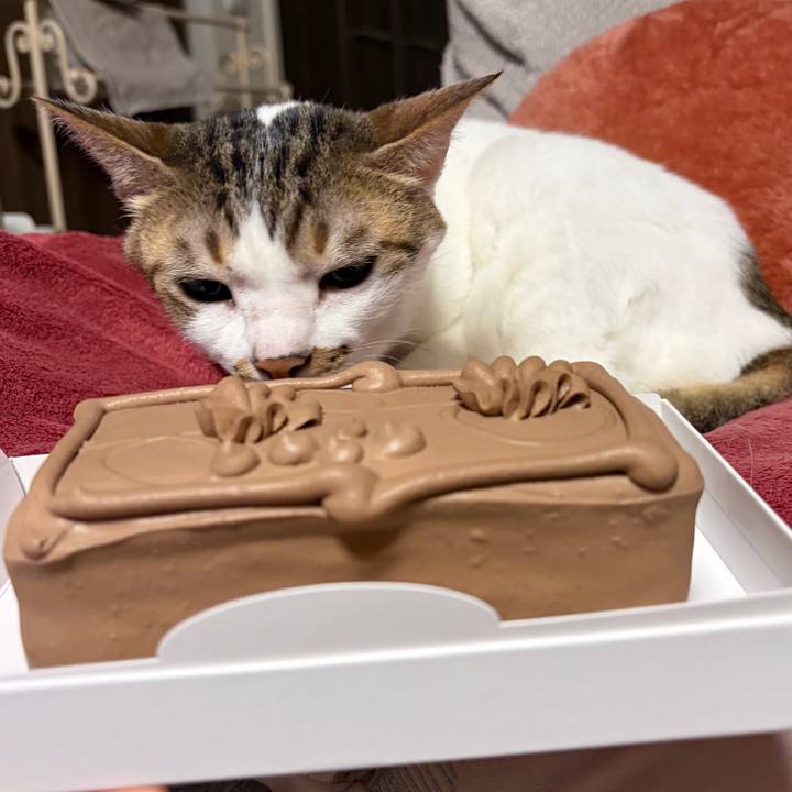 59545df4 e4a1 4b8d a812 375ef2883e3c 1767438091245