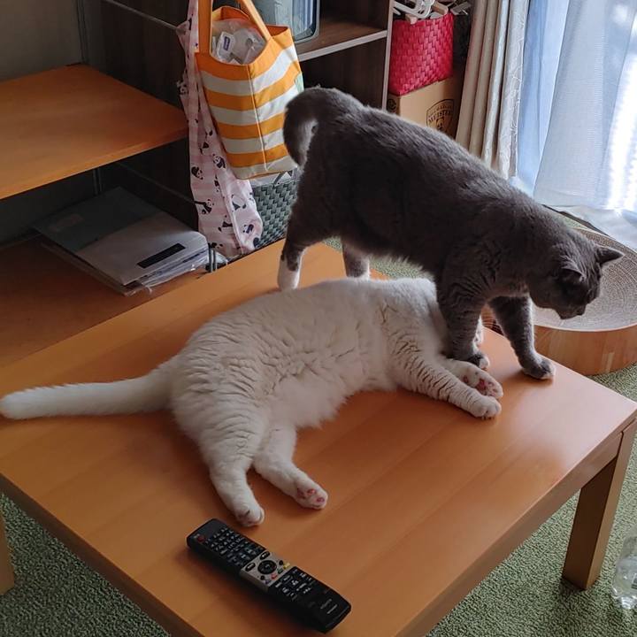 595481e9 e1e1 4d37 ac6e 74c39c3d532a 1632348039835